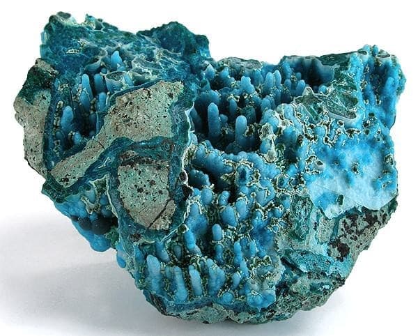 Chrysocolla (Chrysocolla)