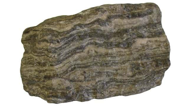 Photo of Gneiss