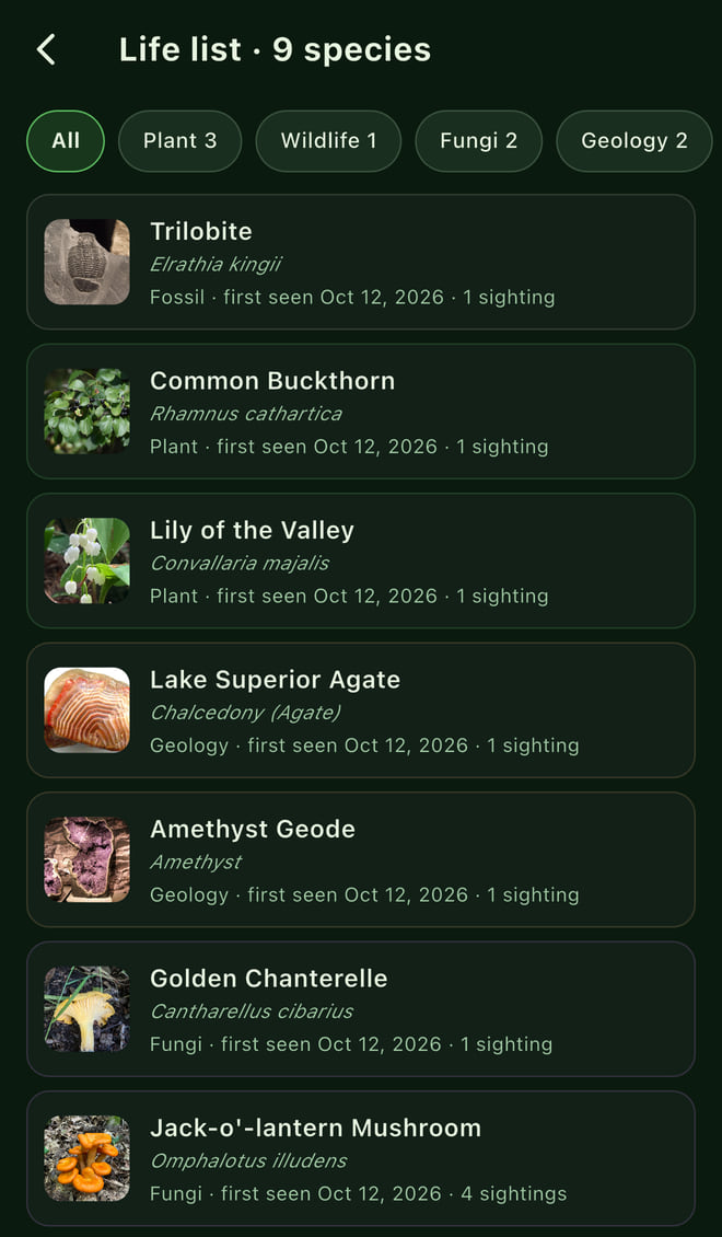 Spotter's life list: 9 species across plants, wildlife, fungi and geology, each with the date it was first seen.