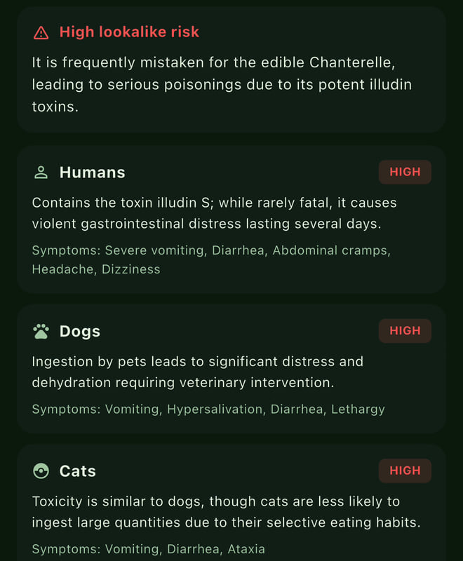 Spotter's Safety tab for the Jack-o'-lantern: High lookalike risk, frequently mistaken for the edible chanterelle. Humans high, Dogs high, Cats high, each with symptoms.