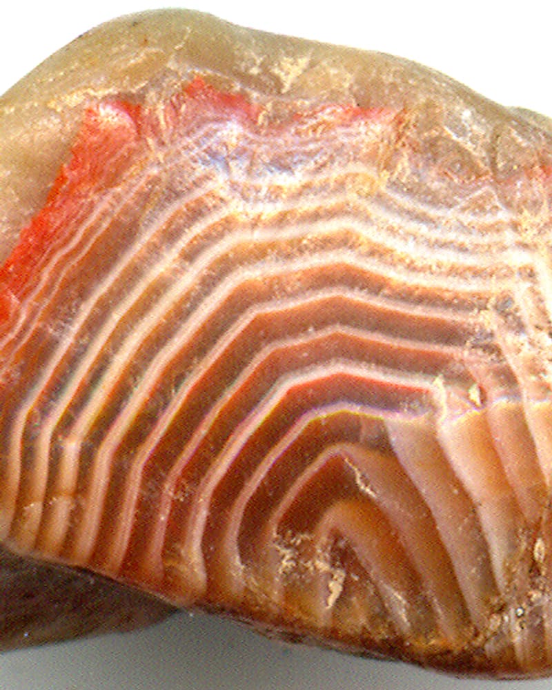 A close-up of a tan pebble with tight red, orange and white banding across its face.