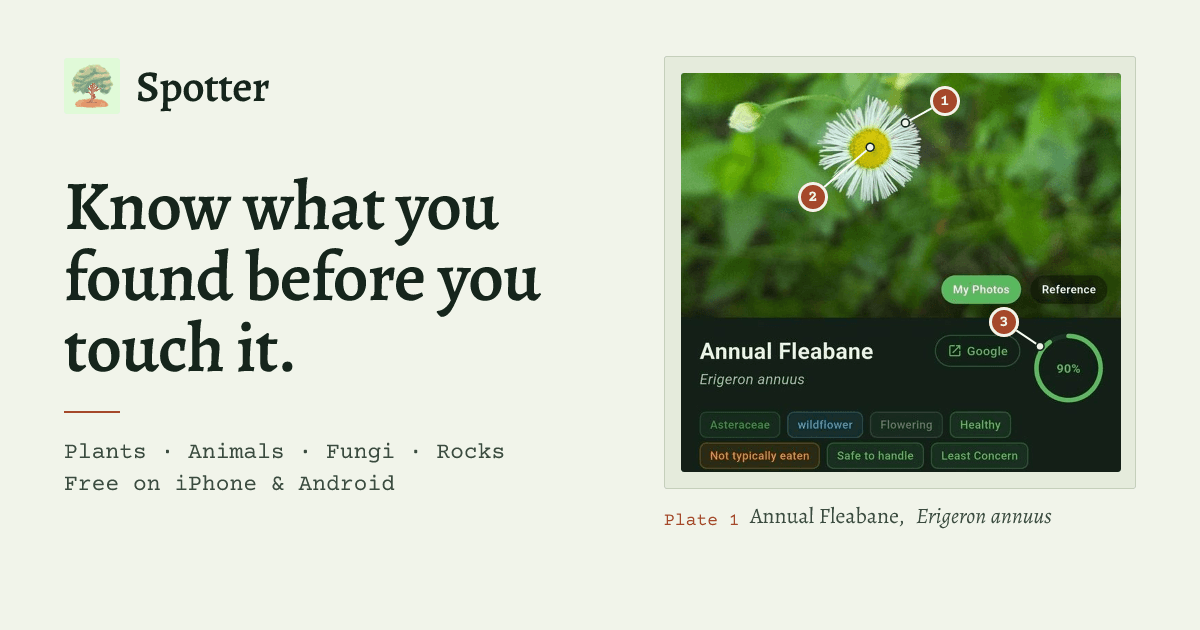 Spotter — Nature Identifier App: Plants, Birds, Insects & Animals
